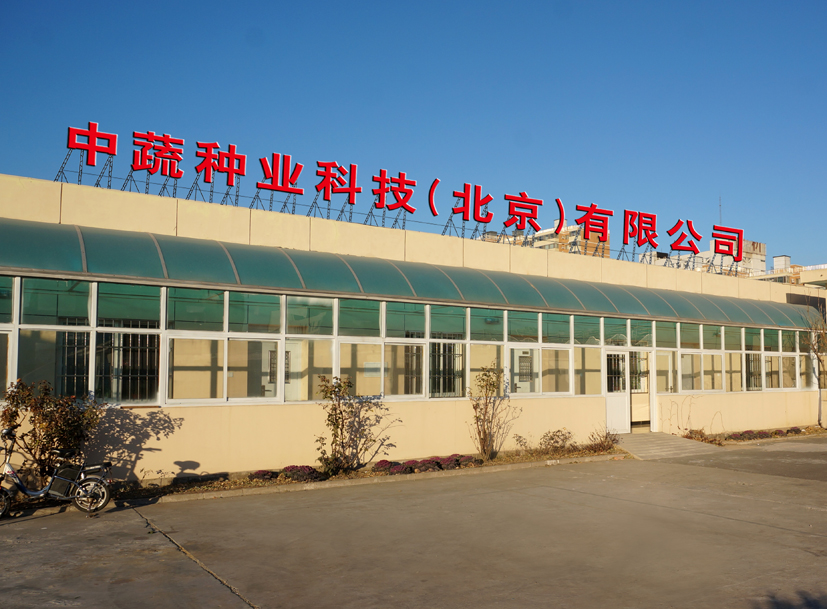 麻豆社