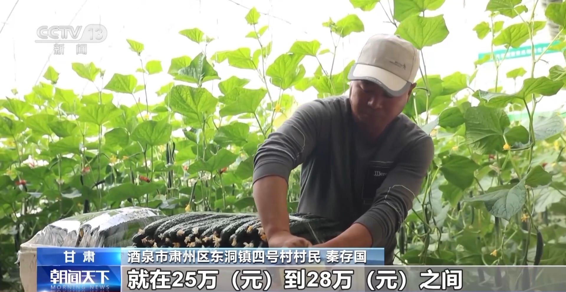 麻豆社