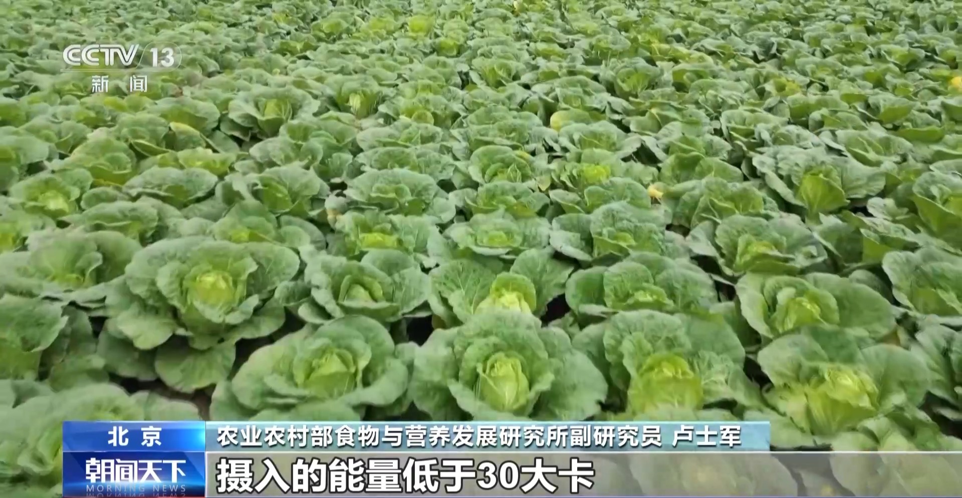 麻豆社