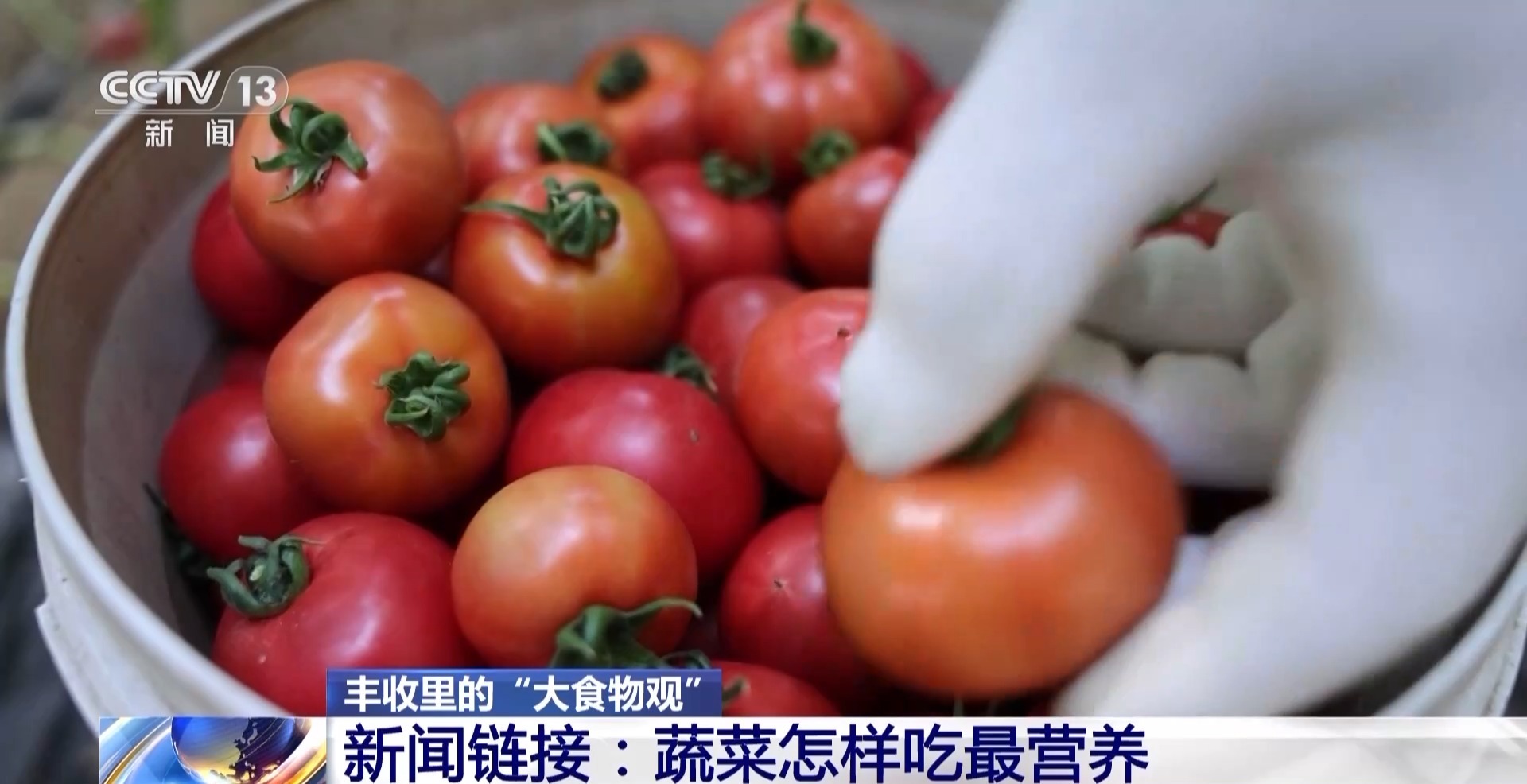 麻豆社