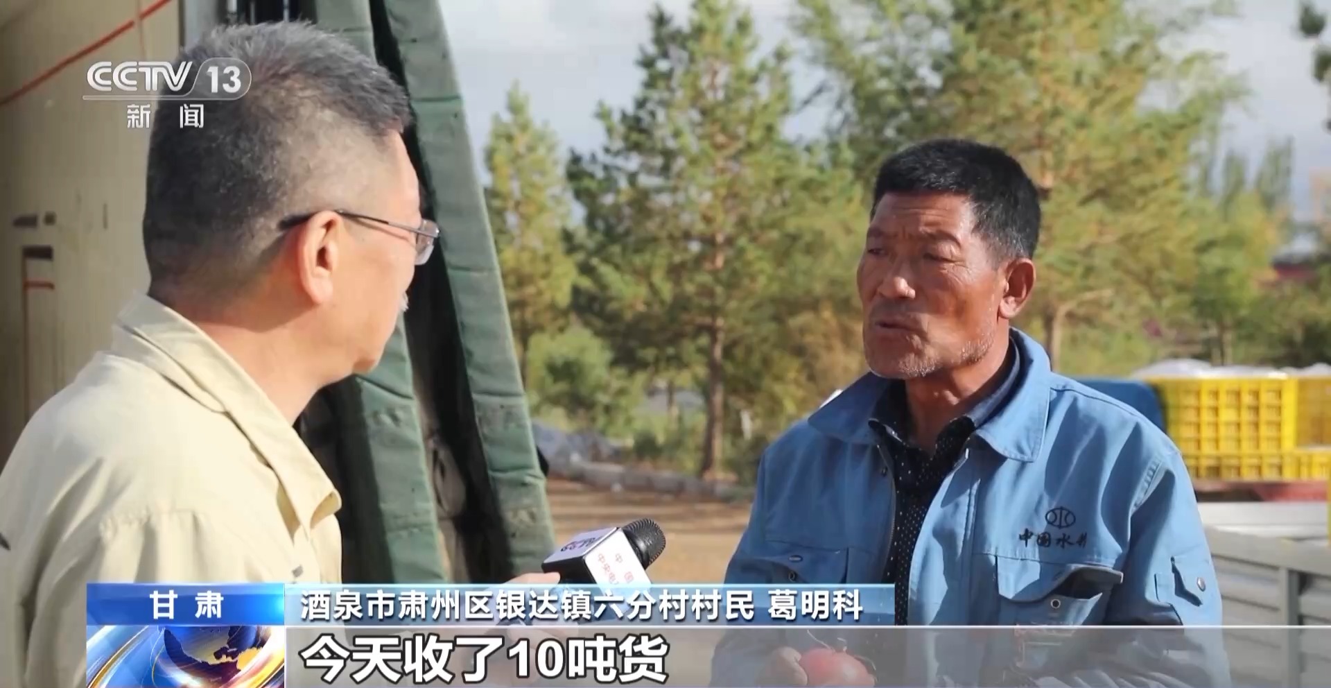 麻豆社