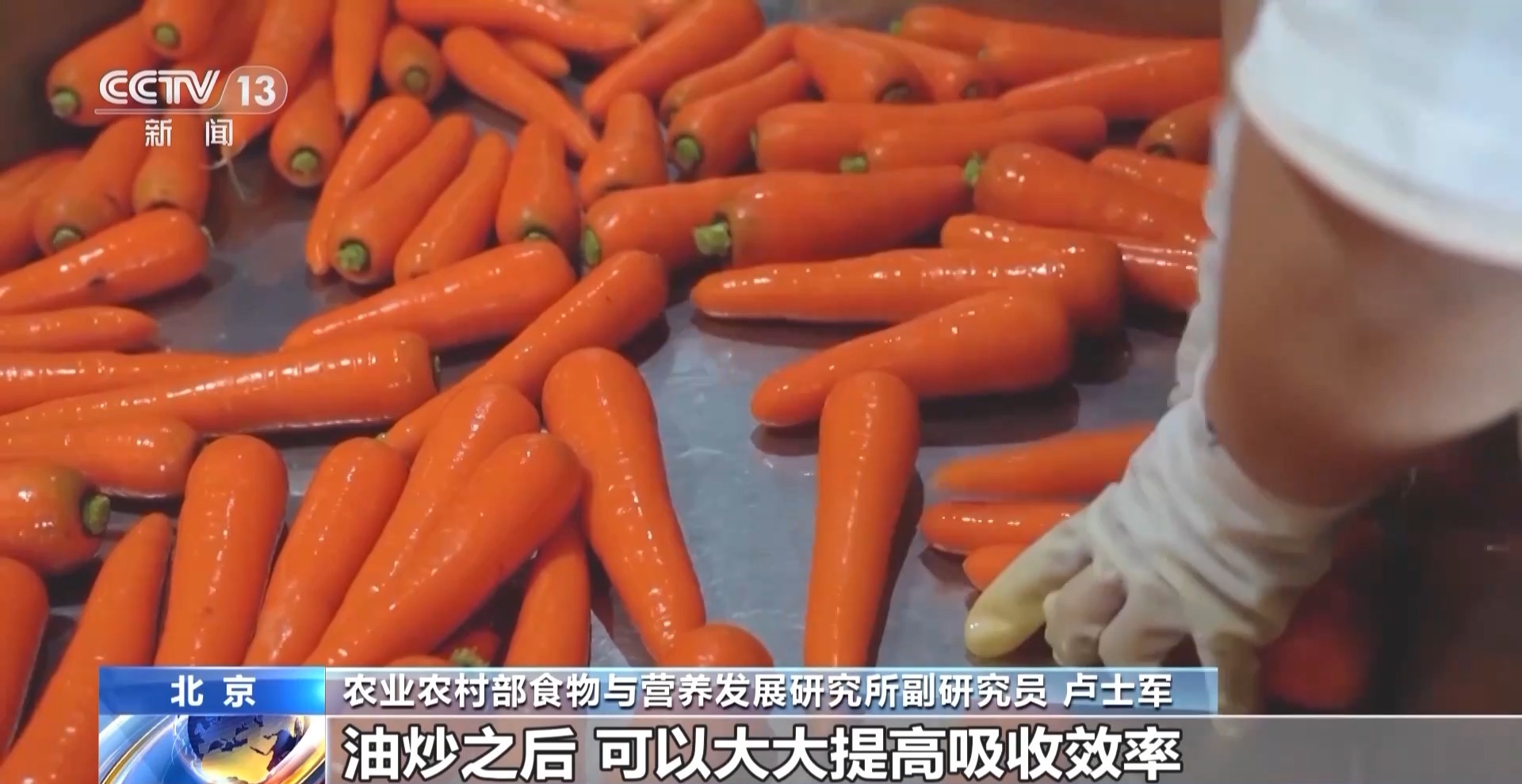 麻豆社