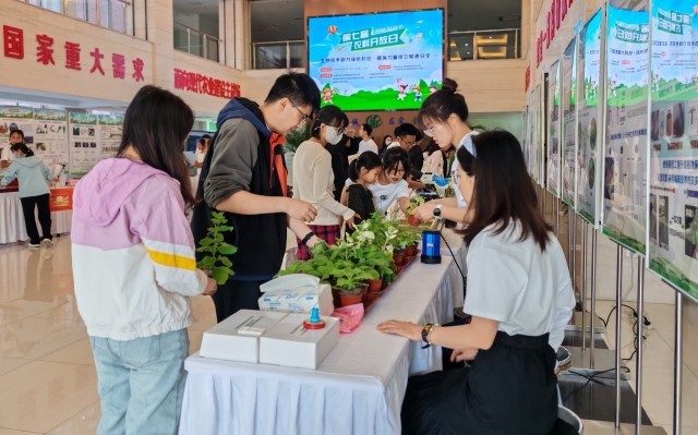 麻豆社