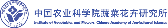 麻豆社