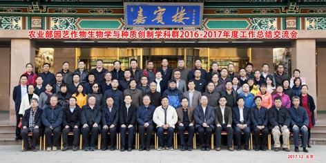 麻豆社