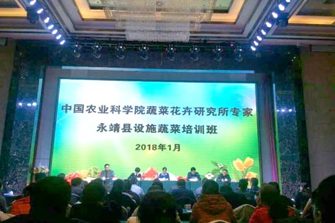 麻豆社