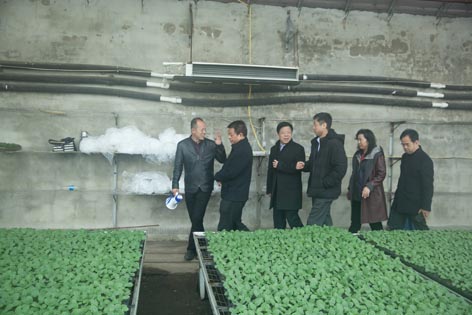 麻豆社