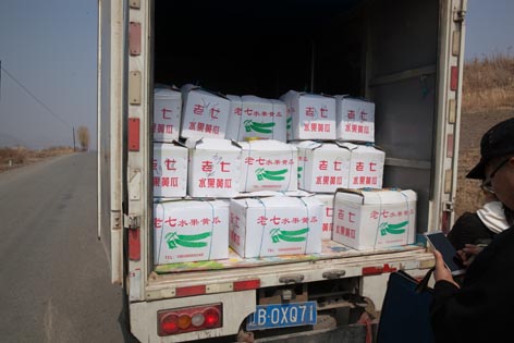 麻豆社