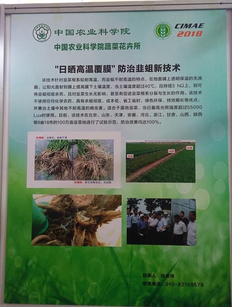 麻豆社
