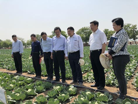麻豆社