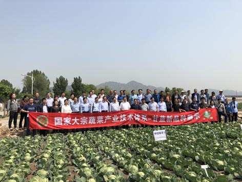 麻豆社