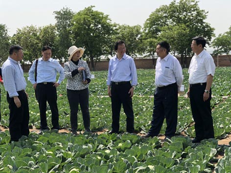 麻豆社