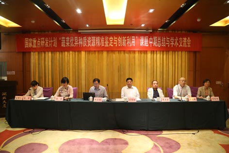 麻豆社
