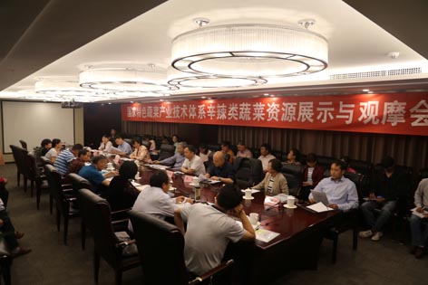 麻豆社