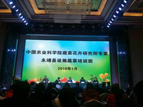 麻豆社