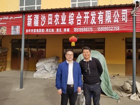 麻豆社