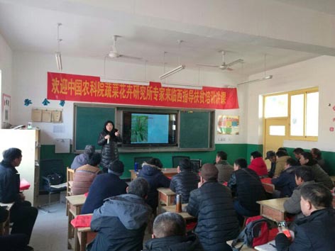 麻豆社