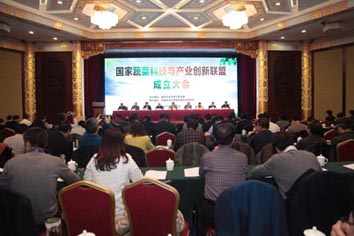 麻豆社