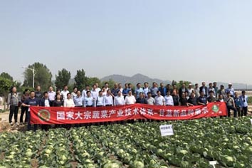麻豆社