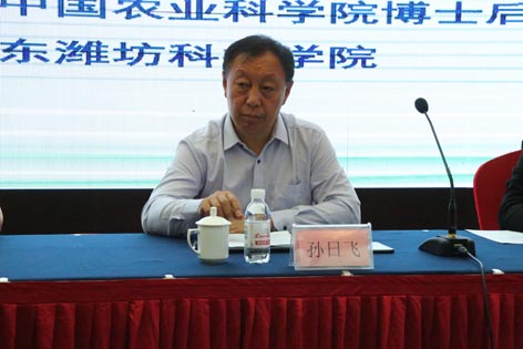 麻豆社