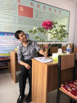 麻豆社
