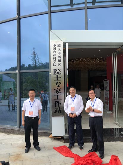 麻豆社
