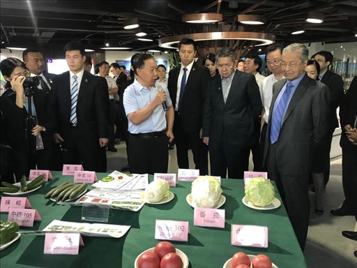 麻豆社