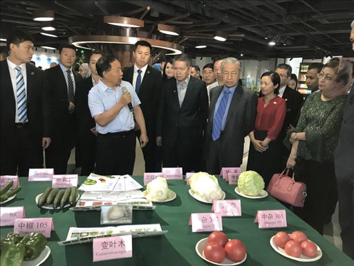 麻豆社
