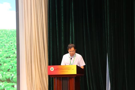 麻豆社
