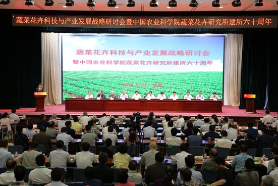 麻豆社