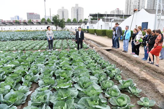 麻豆社