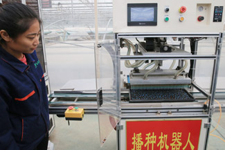 麻豆社