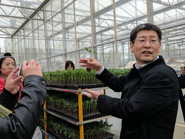 麻豆社