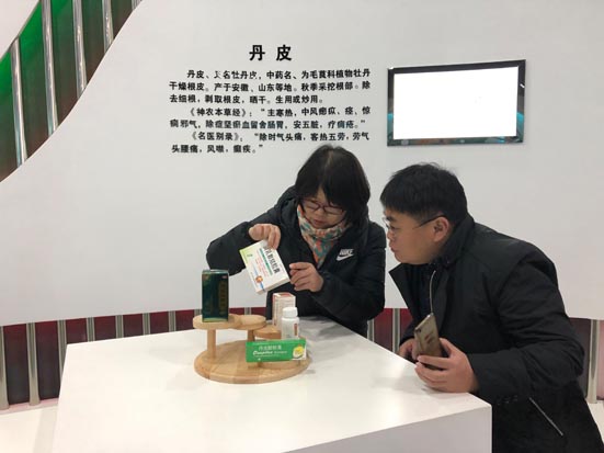 麻豆社