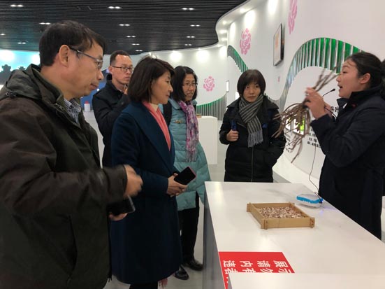 麻豆社