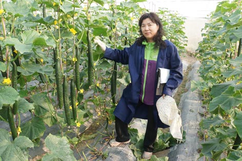 麻豆社