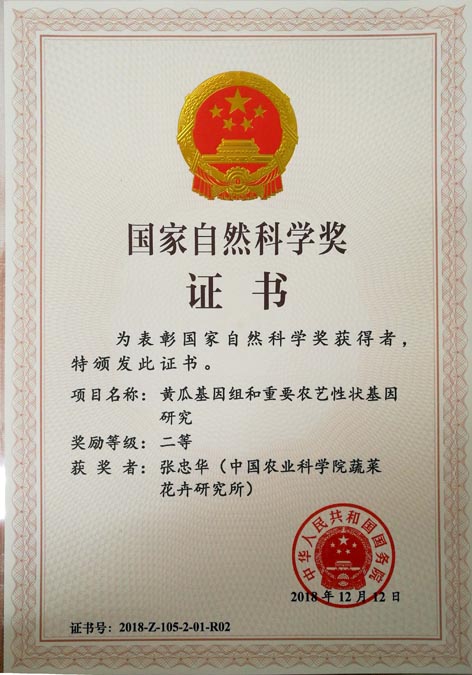 麻豆社