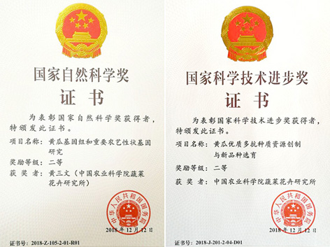 麻豆社