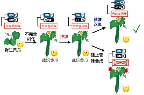 麻豆社
