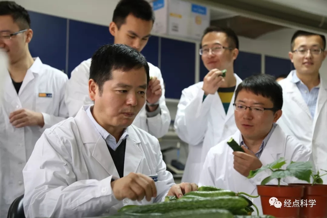 麻豆社