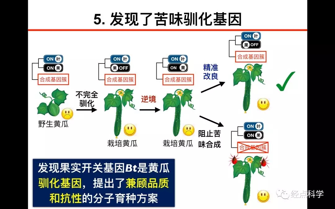 麻豆社