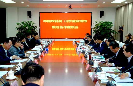 麻豆社
