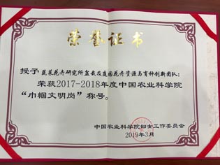 麻豆社