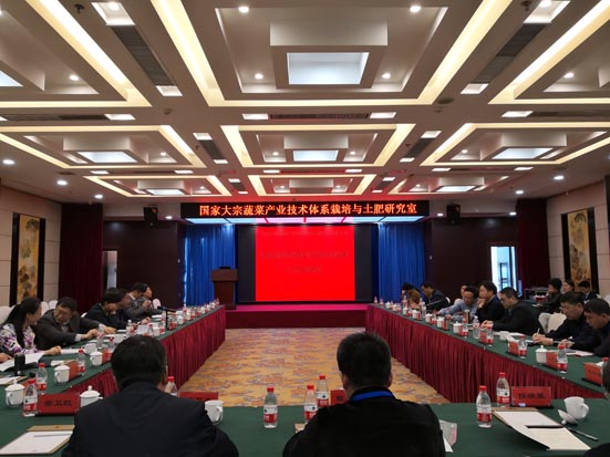 麻豆社