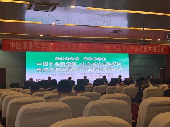 麻豆社