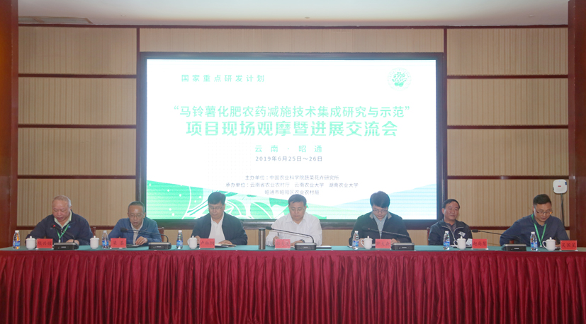 麻豆社