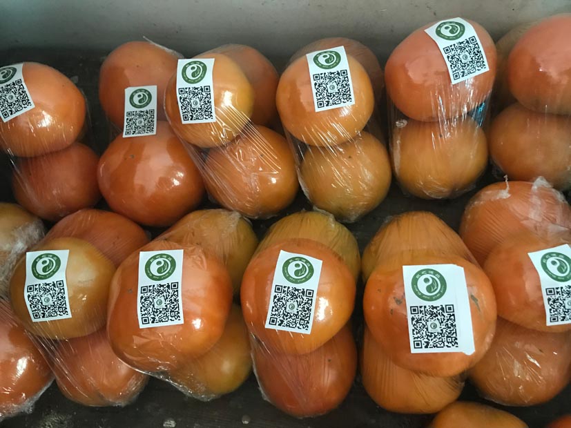 麻豆社