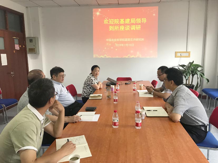 麻豆社