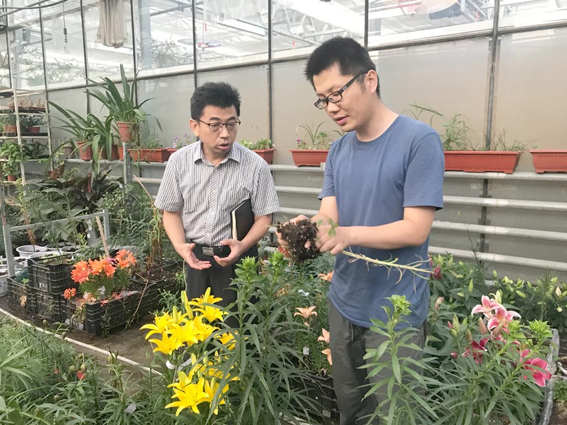麻豆社