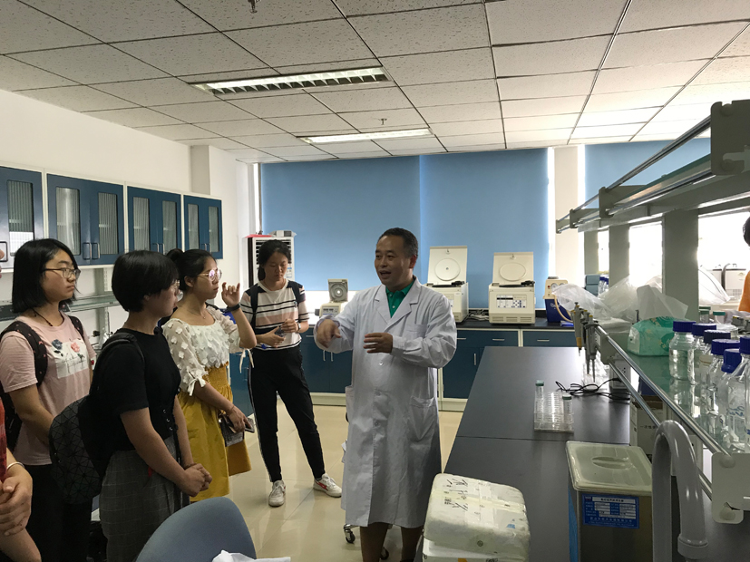 麻豆社